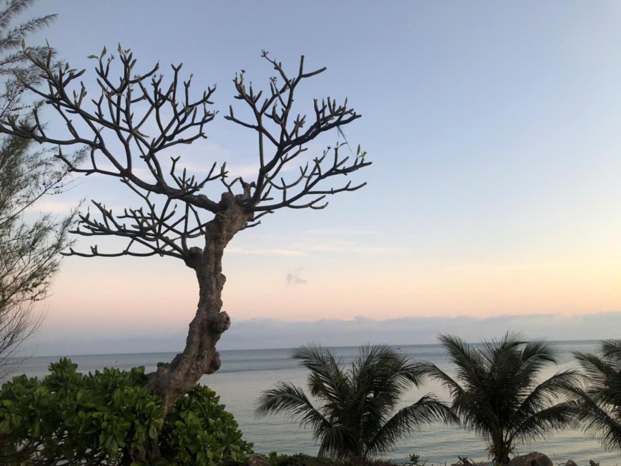 Orson Hotel & Resort Con Dao Chi Khu Co Ong Buitenkant foto